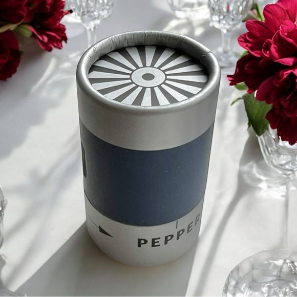 Delta Air Lines Salt Pepper Shaker Engine Collectible Travel Souvenir D One New - Picture 7 of 12